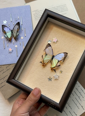 真蝴蝶标本小众创意成品相框diy手工家居桌面摆件装饰画生日礼物