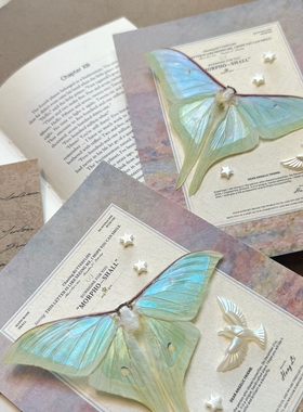 法式月神蛾彩虹蝴蝶标本相框北欧装饰品立体摆件生日礼物女生礼物