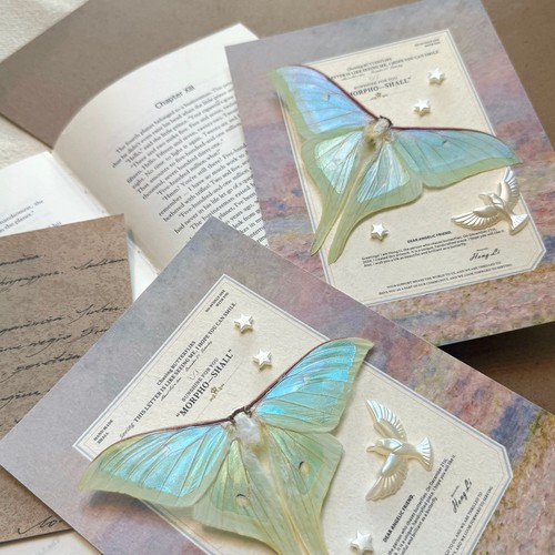 法式月神蛾彩虹蝴蝶标本相框北欧装饰品立体摆件生日礼物女生礼物