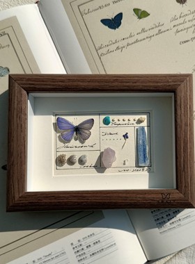 山意SHALL紫色灰蝶真蝴蝶标本相框DIY立体摆台生日礼物儿童节六一