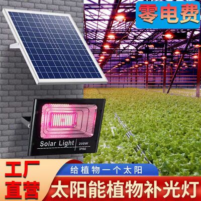 太阳能植物补光生长灯全光谱led多肉上色仿太阳光花卉植物生长灯