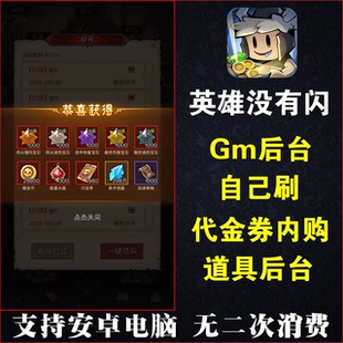 英雄没有闪手游gm后台无限资源闪金卷买断版法师安卓苹果非单机版