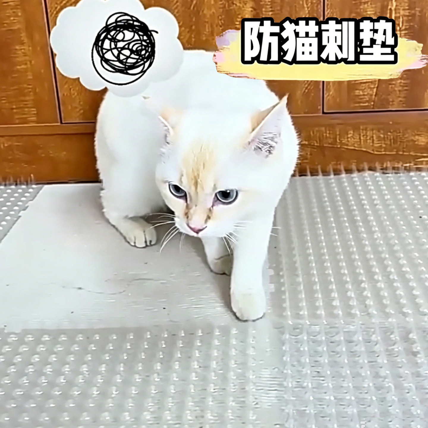 可剪裁拼接防猫刺钉防抓门盆栽