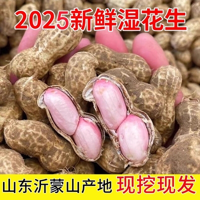 山东新鲜花生湿花生带壳人工精选