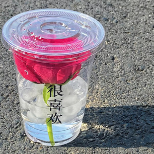 网红摆摊杯花咖啡杯一次性鲜花杯pet奶茶店商用高透塑料饮料杯子