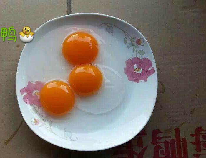 正宗广西北海红树林新鲜鸭蛋