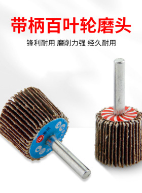 6mm Shank Flap Wheel Metal Wood Polishing Rust Remover