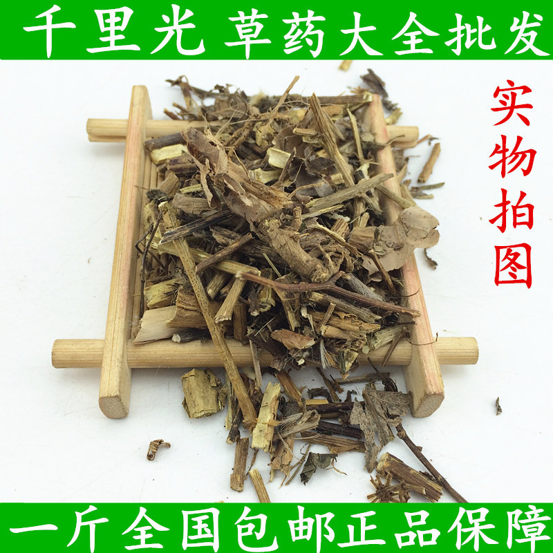 千里光 中药材野生正品草药足浴九里明九里光黄花母散装500g包邮