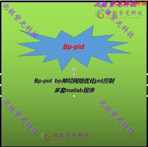 Bppid  bp神经网络优化控制多套matlab程序合集及配套文档详细