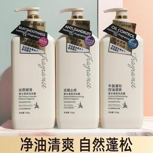 名歌控油蓬松洗发露香水香氛去屑丰盈丝质顺滑清爽洗头膏持久留香