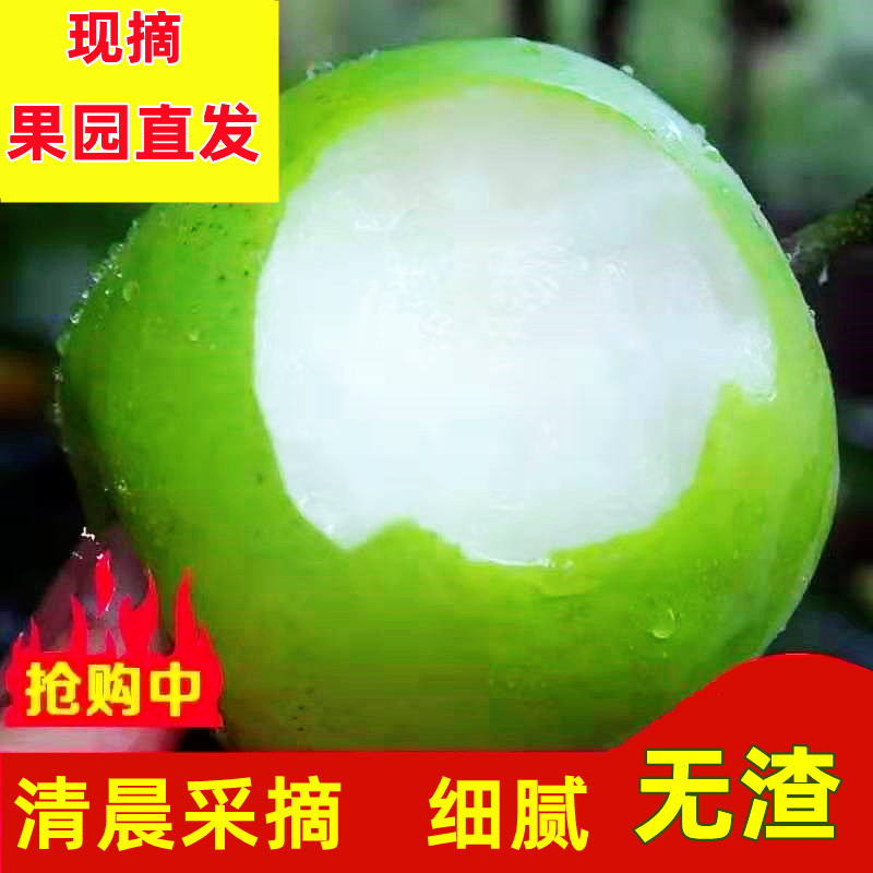 现货现摘砀山青梨5/10斤翠玉翠冠酥脆苹果梨蜜梨当季新鲜水果整箱