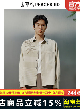 【商场同款】太平鸟男装 2025年春季新款衬衣长袖衬衫男B1CHF1417
