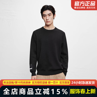 太平鸟男装毛衣潮流高级感秋冬羊毛商务修身圆领打底衫B1EBC4255