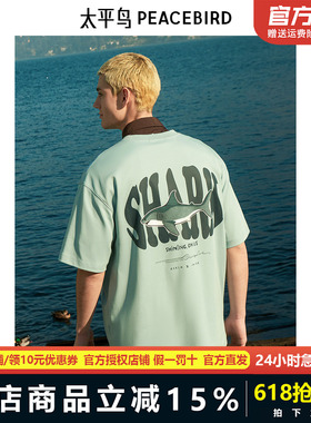 太平鸟男装 夏季新款刺绣短袖T恤男B1CNE2401