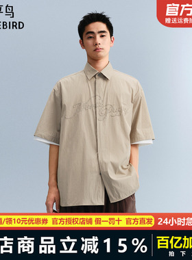 太平鸟男装 休闲衬衫时尚刺绣条纹衬衫B2CJF222J