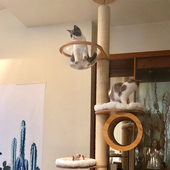 catsle四季 猫爬架实木通天柱猫抓柱猫别墅跳台猫窝猫城堡猫咪用品
