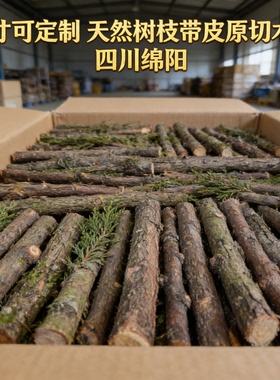 中式天然柏树棍柏树条装饰摆件