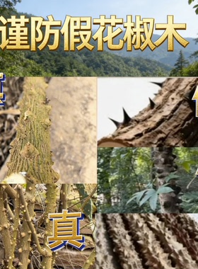 天然花椒木DIY磨牙棒材料