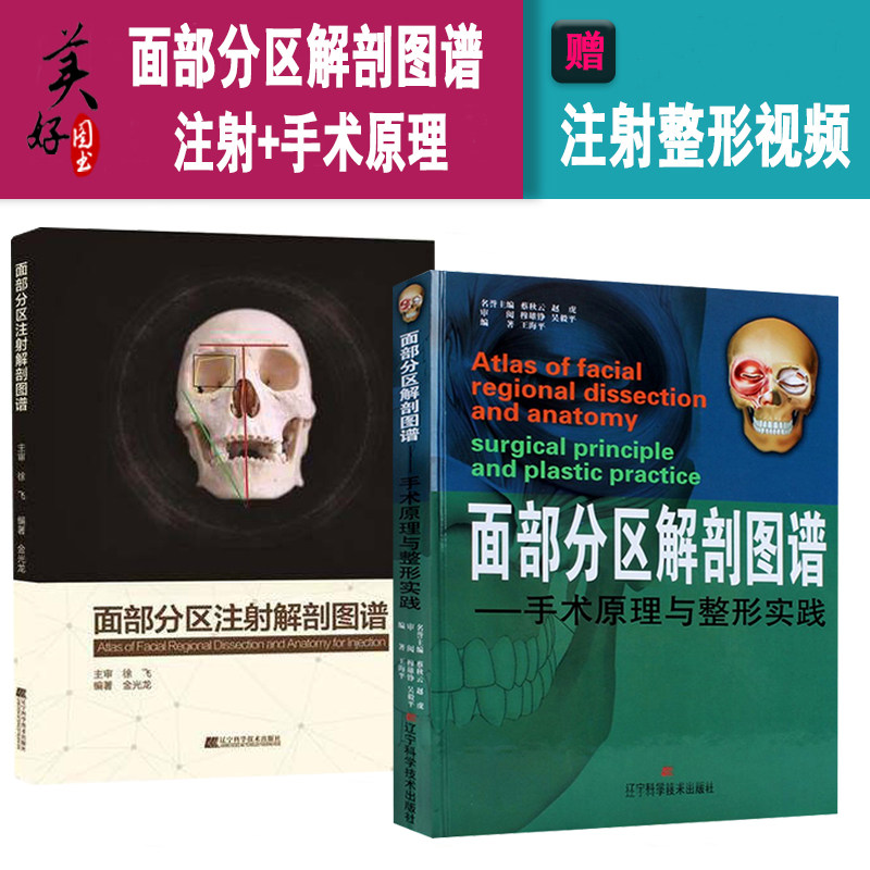 面部分区注射解剖图谱+面部分区解剖图谱手术原理与整形实践 王海平 医学美容韩国美容整形书籍 可搭微整形注射美容埋线玻尿酸书