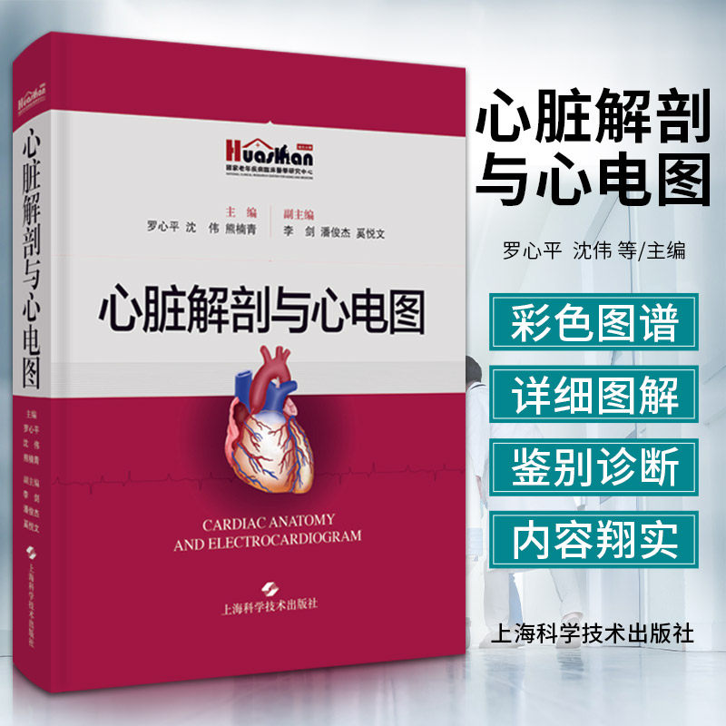 心脏解剖与心电图解析解剖图像