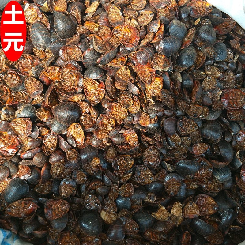中药材野生土鳖虫干正品地鳖虫蛰虫特级土元新鲜干货散装500g包邮