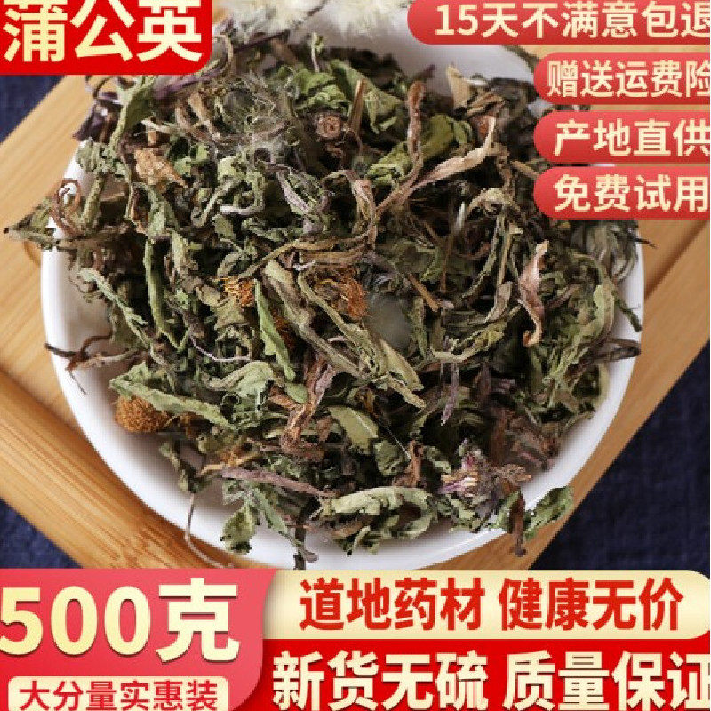 蒲公英野生蒲公英根泡茶正品特级新鲜浦公英干货中药材500g克包邮