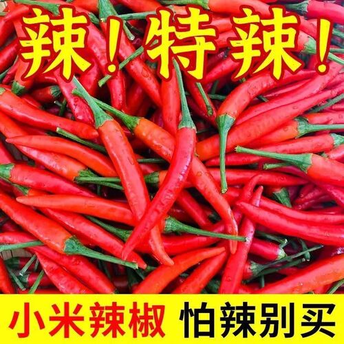 爆辣新鲜小米辣椒特辣超辣红辣椒朝天椒指天椒小米椒新鲜现摘