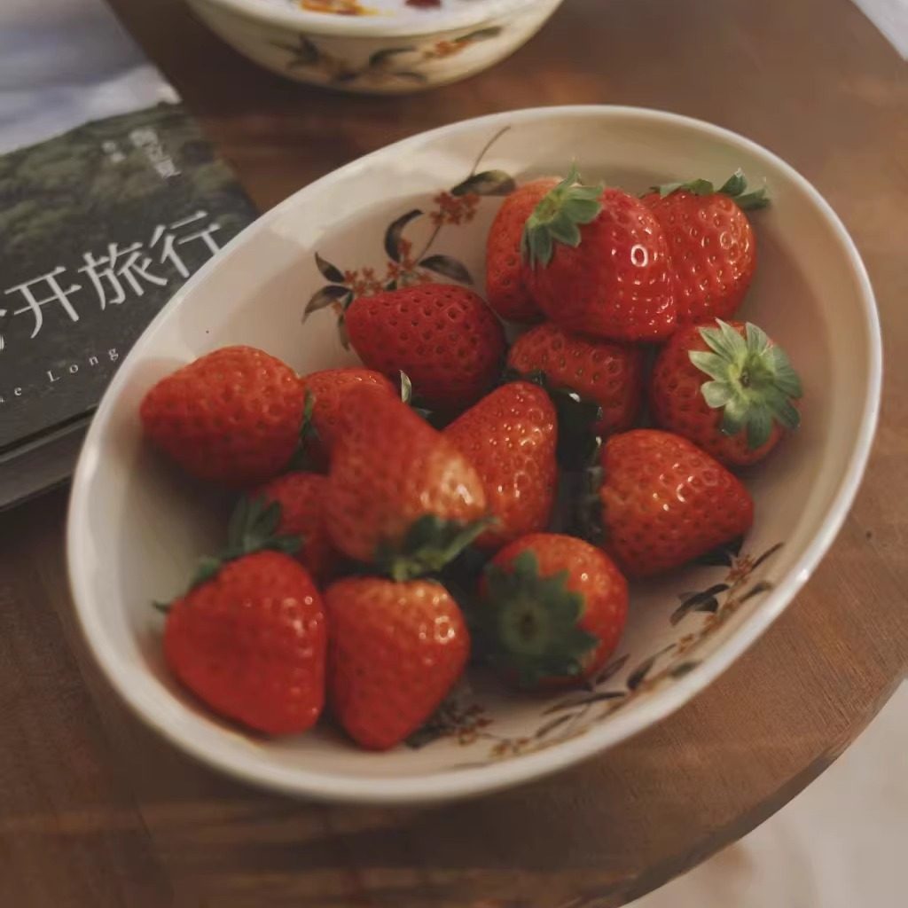 高颜值桂花椭圆家用盘子陶瓷餐盘甜品创意复古手工景德镇高温餐具