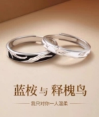 999足银蓝桉与释槐鸟情侣一对戒指女男小众高级感七夕礼物送女友