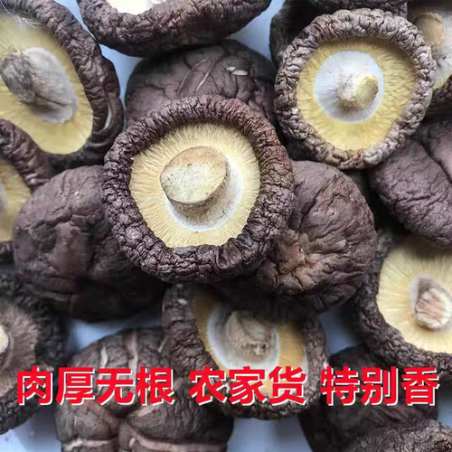 【净重发货】精选农家香菇干货肉厚无根精选冬菇干香菇香菇来了
