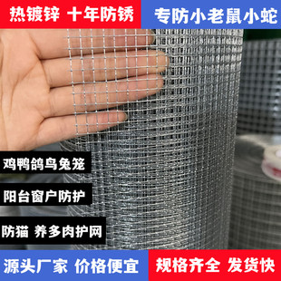 铁丝网小孔防鼠网热镀锌防锈养殖网鸡鸽兔笼窗户阳台防护钢丝围栏