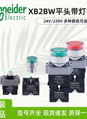 施耐德平头带灯按钮开关XB2BW33M1C自复位XB2BW34M1CDC24VAC220V