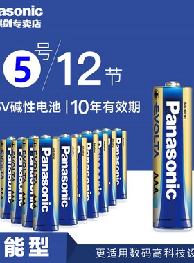 松下EVOLTA碱性五号5号五号电池LR6挂钟玩具车鼠标键盘AA 儿童电动遥控器玩具车挤奶器无线鼠标ktv电子产品
