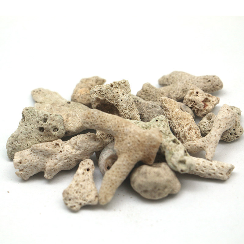 鱼缸天然珊瑚砂水族箱珊瑚石珊瑚骨调节鱼缸水质PH过滤材料500g在类目 宠物/宠物食品及用品, 水族世界, 鱼缸等水族设备, 过滤设备中 - 来自Buy2taobao.com提供专业的淘宝代购服务