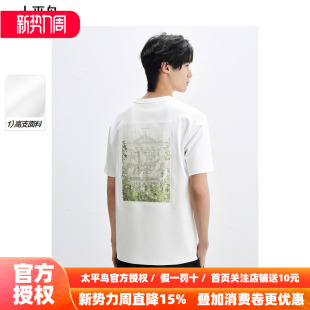 Daria T恤新款 Song联名 拼接短袖 圆领体恤B1CNF2425 太平鸟男装