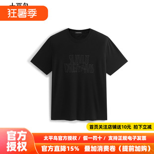 【商场同款】太平鸟男装T恤26夏季新款重磅刺绣短袖潮 B1CNF2422