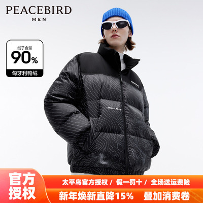 【商场同款】太平鸟男装 2025年秋季新款羽绒服外套男士B2ACD4408