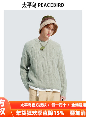 【商场同款】太平鸟男装羊毛毛衣冬新款圆领绞花针织衫B2EBE4522