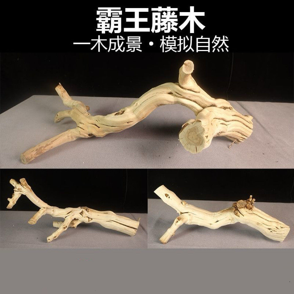 爬宠霸王藤木雨林缸造景守宫鬃狮蜥蜴睫角蛇攀爬藤条树栖龙纹枯木