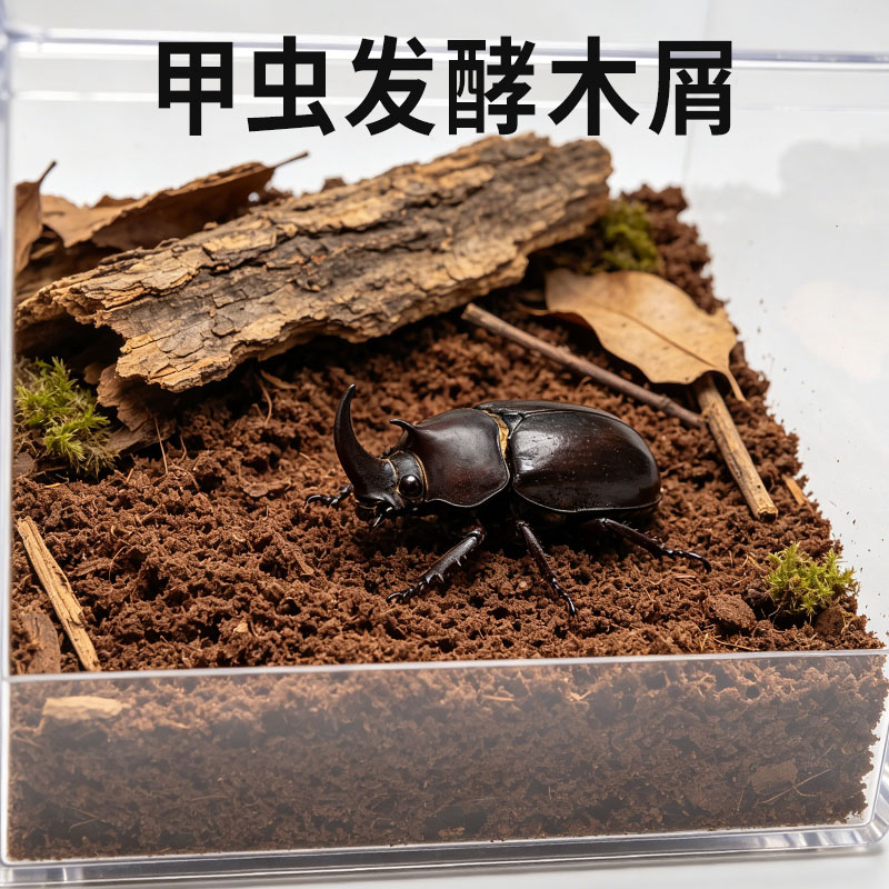 甲虫发酵木屑产房爬宠腐图片