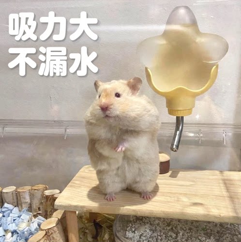 仓鼠水壶饮水器金丝熊花
