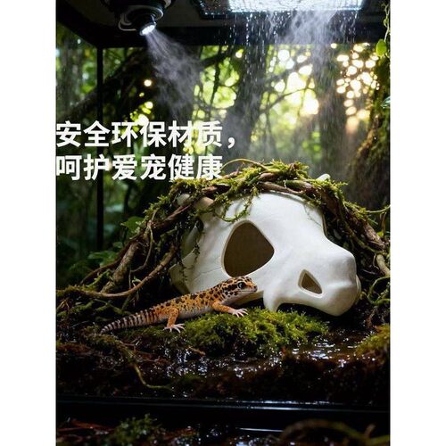 卡拉头骨创意摆件鱼缸异