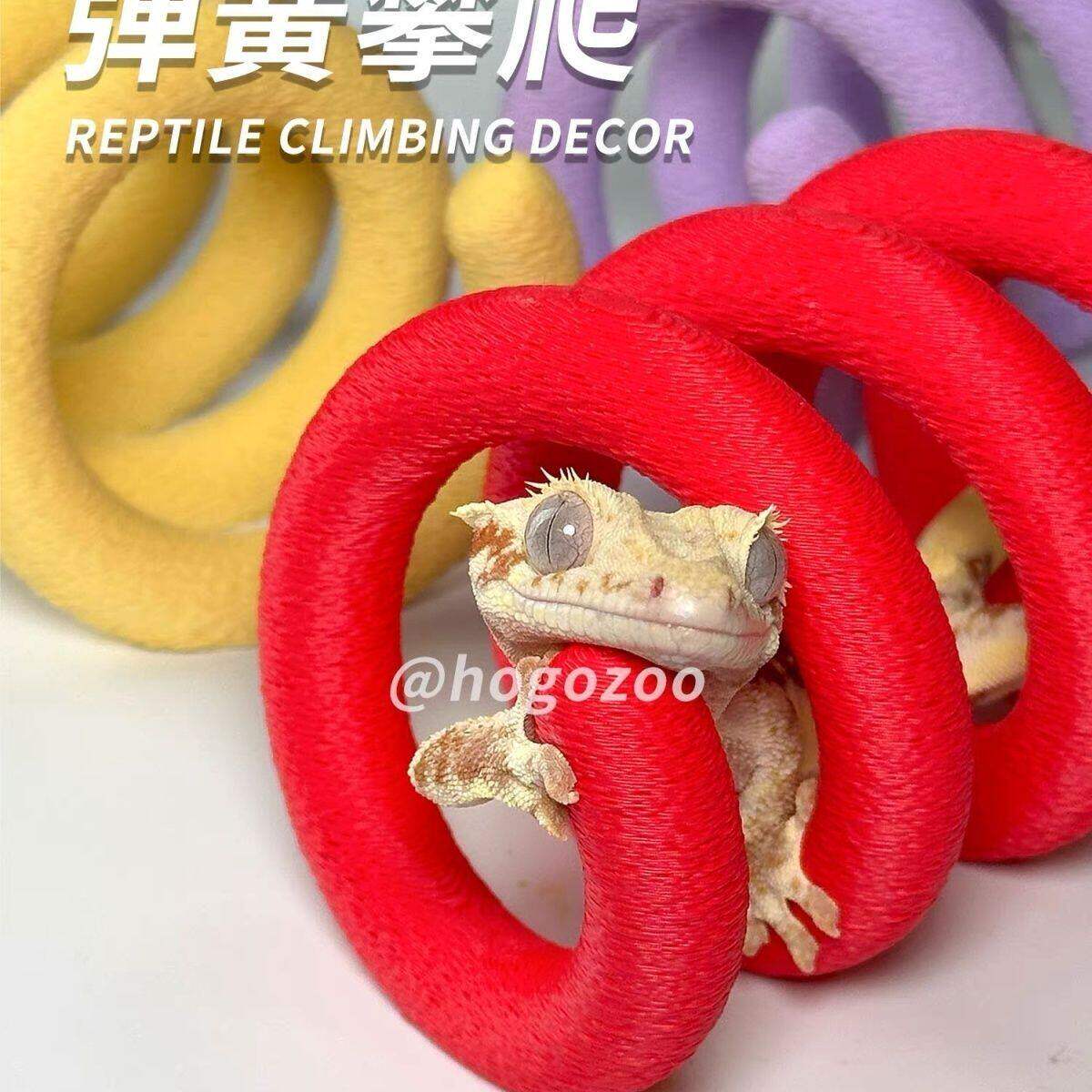 爬宠丰荣攀爬躲避蜕皮3D打印弹簧攀爬豹纹守宫睫角蛇肥尾彩色造景