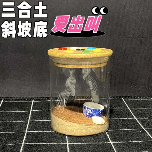 蛐蛐罐油葫芦叫罐透明玻