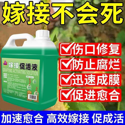 植物伤口愈合剂树木盆景果树嫁接月季兰花剪枝花木切口修复涂抹膏