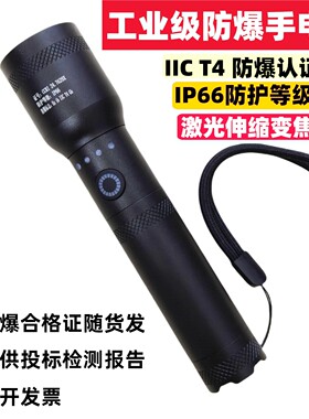 锐豹防爆手电筒IICT4级防水防爆