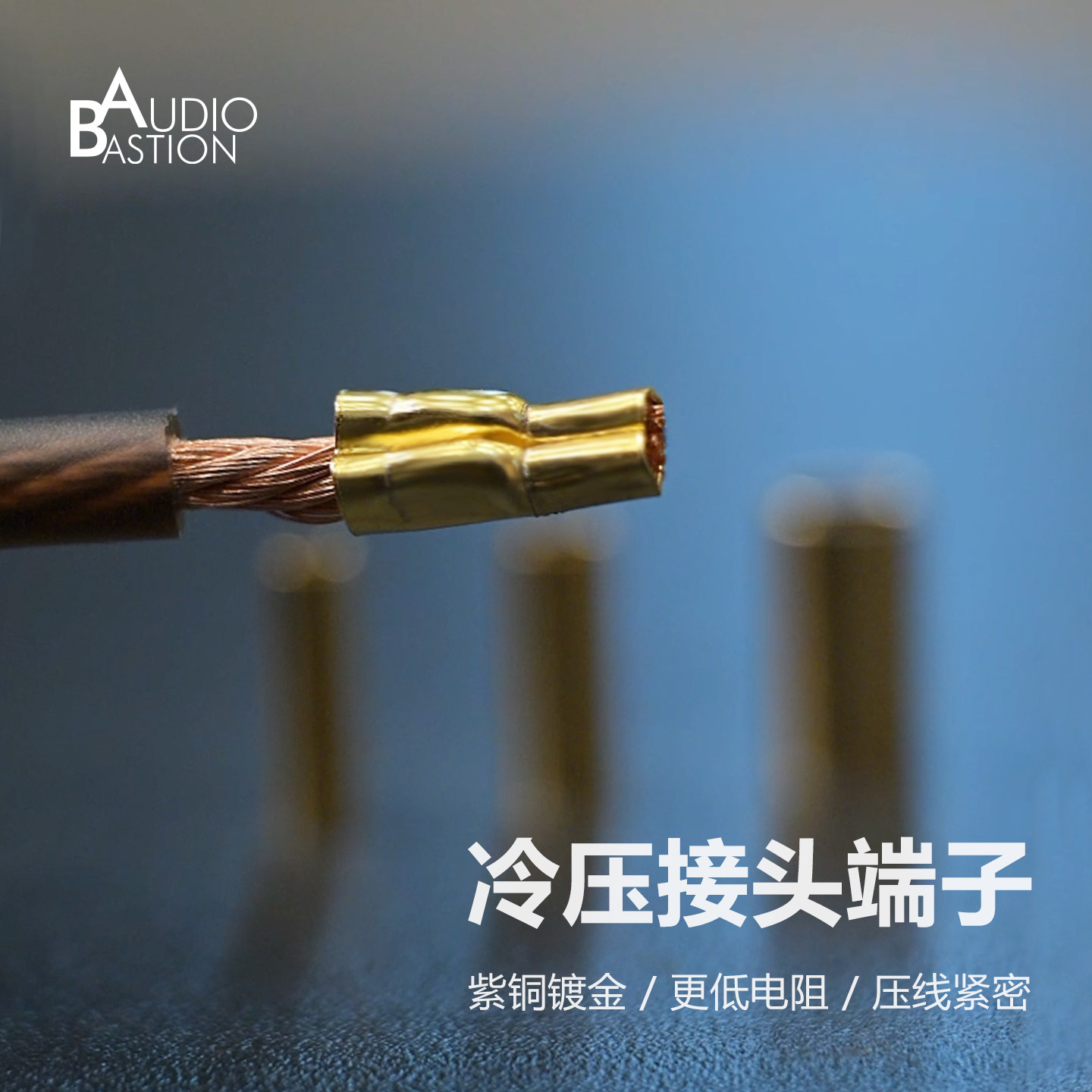 冷压端子AudioBastion
