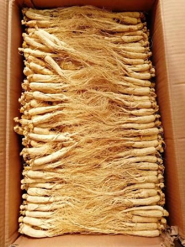长白山小人参干东北特产白参生晒参煲汤材料泡酒药材250g礼盒装 - 封面