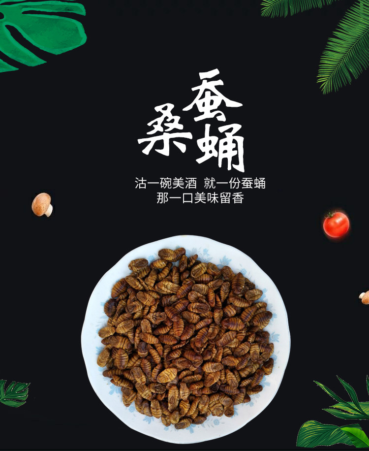 4斤 新鲜蚕蛹 桑蚕蛹 生蚕蛹 蚕蛹  黄金蛹 小蛹子 保温箱加冰袋