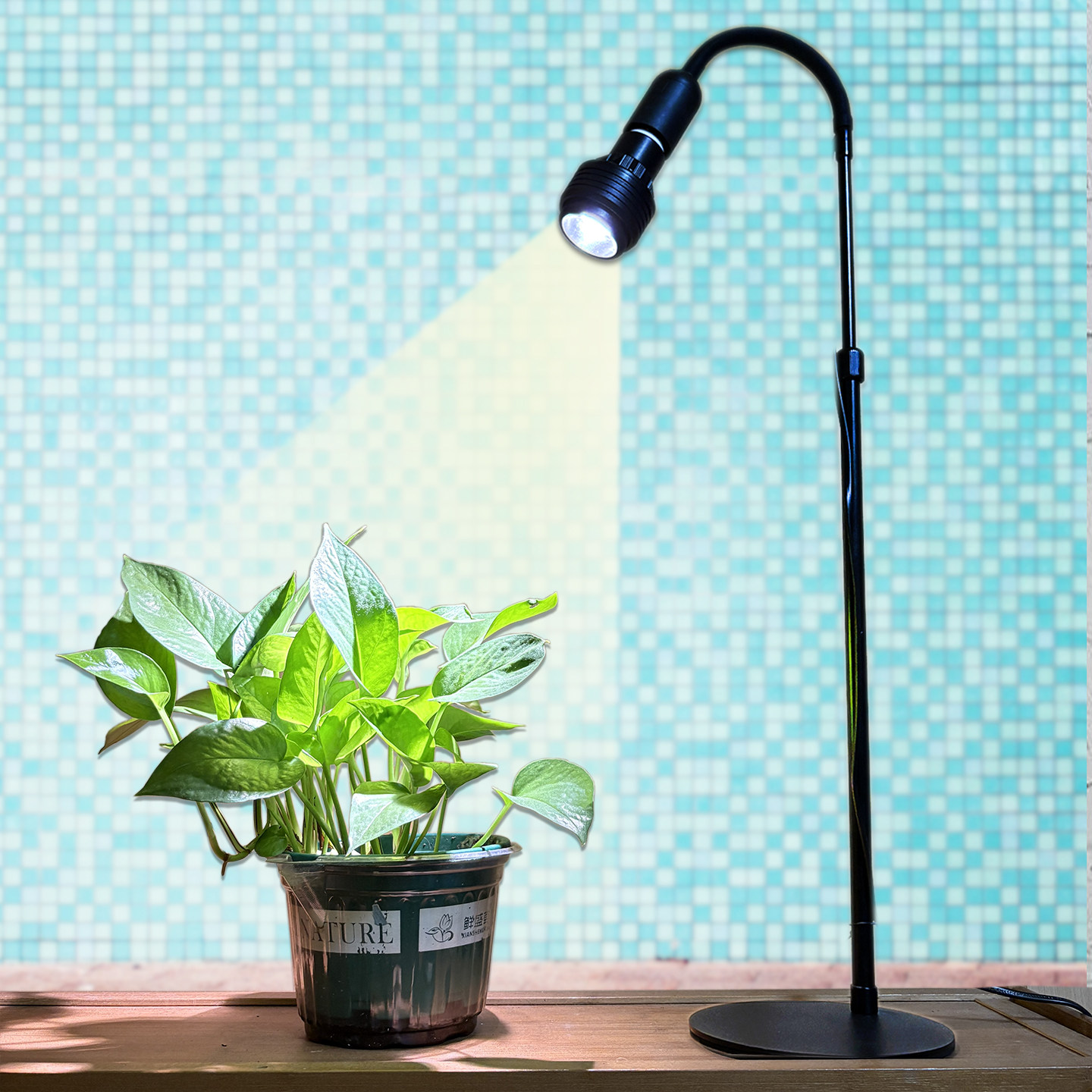 桌面台灯款式植物生长灯补光射灯